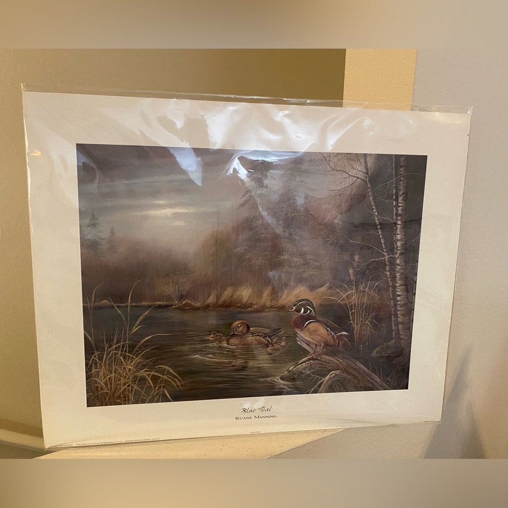 Ruane Manning. Blue Teal Print. 2000. NWOT. Small Scratch on left Side Mat.
